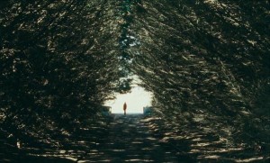 OtherSide1